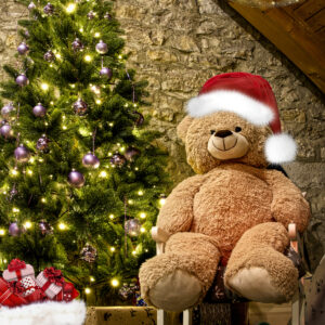MERRY BEAR