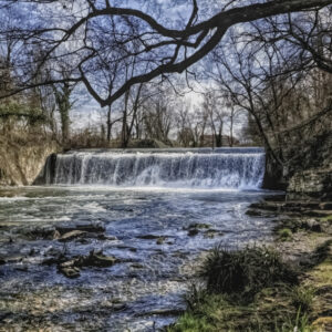 UNBRIDLED LUST FOR LIFE